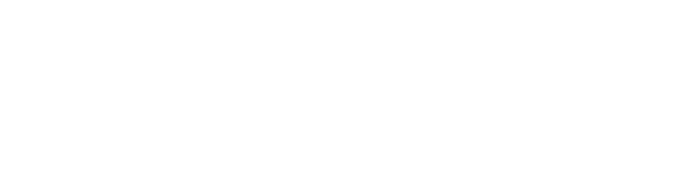 唯实数据 WishData